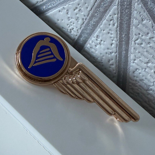 Ryanair cabin crew wings - cabin,